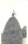 okeymoore.jpg (18383 bytes)